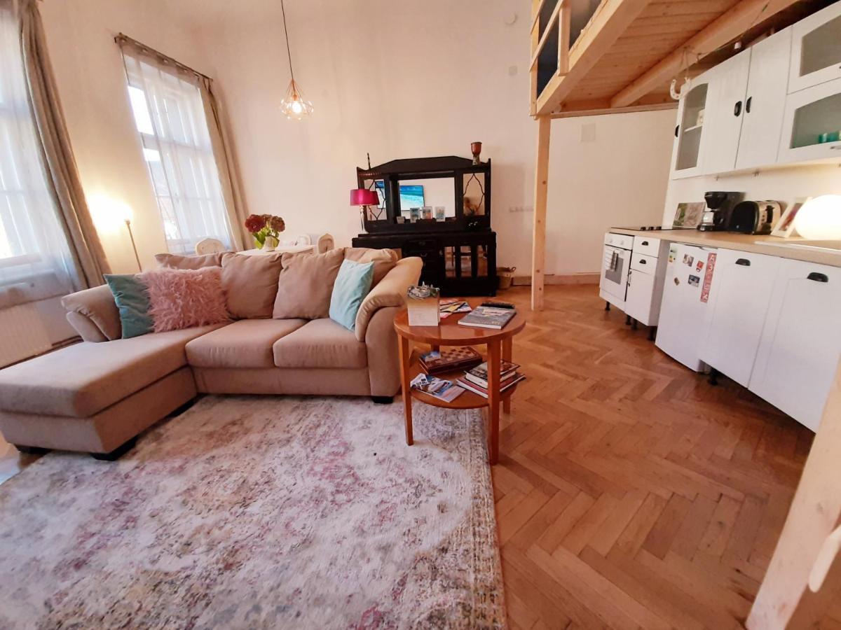 Central Loft Apartment Брашов Екстериор снимка